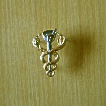 S.A Medical Services Pharmacist`s Breast Badge With Pins In Place