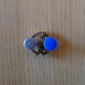 S.A.D.F - Chaplain's Bi-Metal Breast Badge With Pins In Place