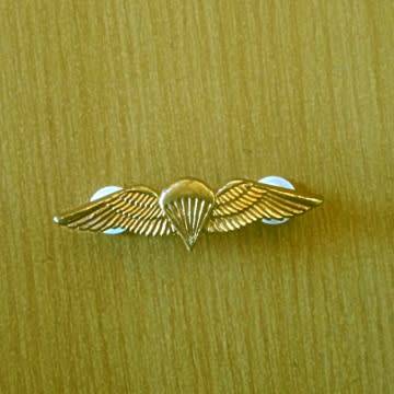 S.A Parachute Basic Wing - Mess Dress With Pins In Place