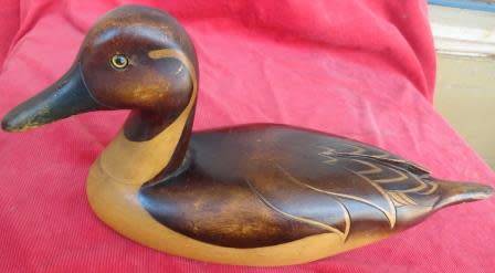 Feathers of Knysna: Pigtail Duck :Limited edition. 363 of  975