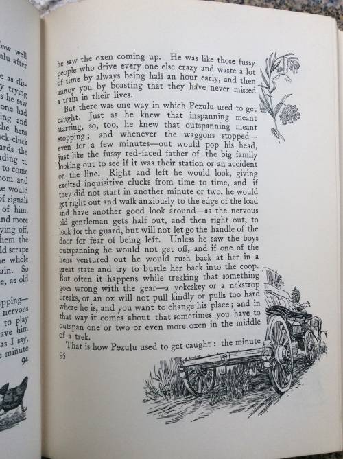 Jock of the Bushveld. Sir Percy Fitzpatrick. Seventh Impression 1913.