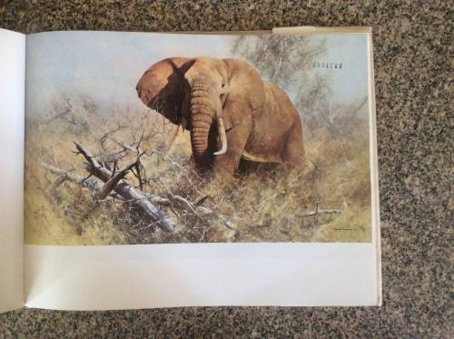 An Artist in Africa  David Shepherd 1st Ed 1969.