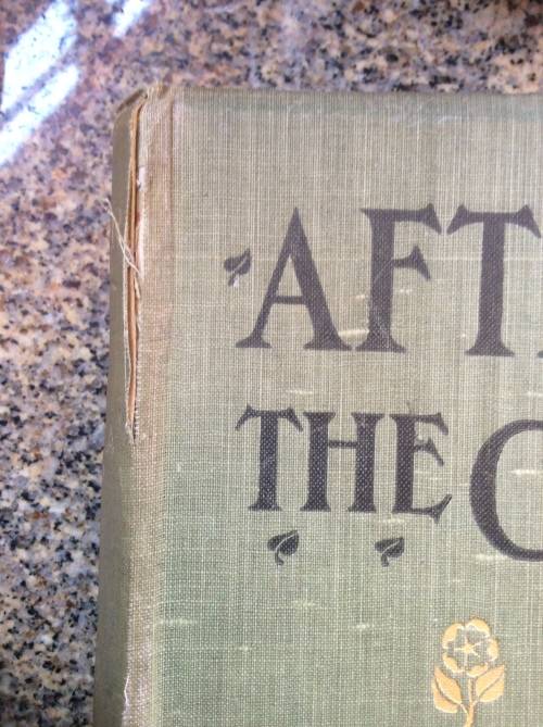 After Pretoria The Guerilla War. Vol 2.  Supplement to : With The Flag To Pretoria