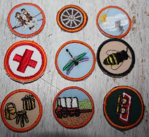 Voortrekker lot of badges