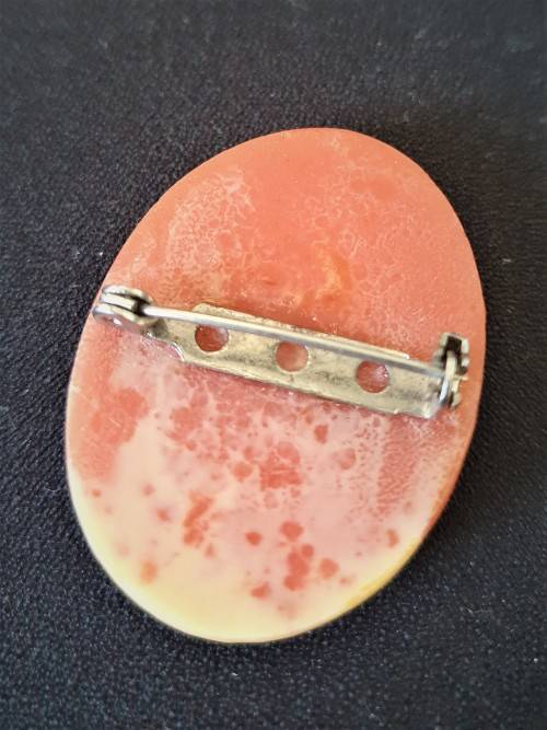 Vintage Costume Jewelry Cameo Brooch