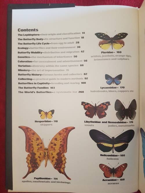 The Illustrated Encyclopedia of the BUTTERFLY WORLD over 2000 species reproduced life size