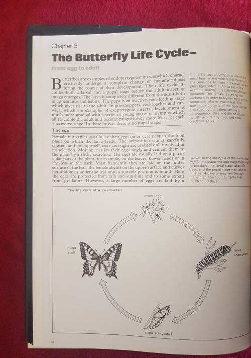 The Illustrated Encyclopedia of the BUTTERFLY WORLD over 2000 species reproduced life size