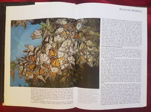 The Illustrated Encyclopedia of the BUTTERFLY WORLD over 2000 species reproduced life size