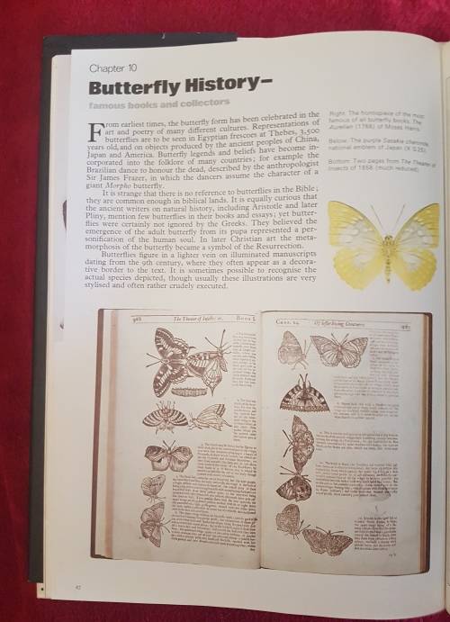 The Illustrated Encyclopedia of the BUTTERFLY WORLD over 2000 species reproduced life size