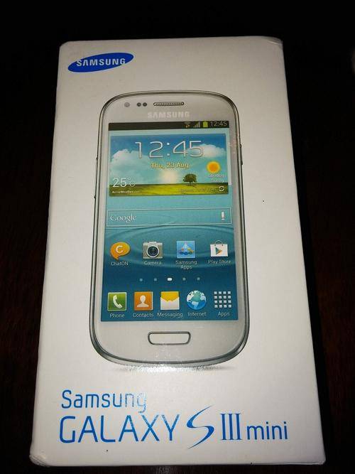 Samsung Galaxy S3 Mini
