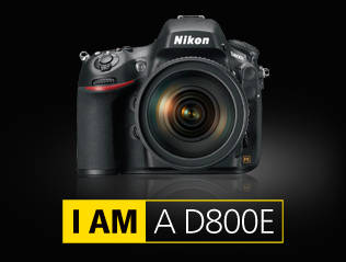 Nikon D800E 36.3MP DSLR Camera Body Only, FX Full Frame F-Mount, D800 E Low Shutter Count : < 9K
