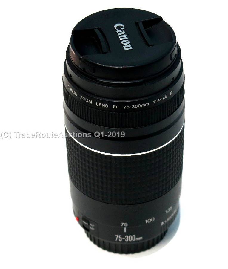 CANON EF 75-300MM 4-5.6 MARK III TELEPHOTO ZOOM LENS for 600D, 650D, 700D, 750D 1200D 1300D Etc