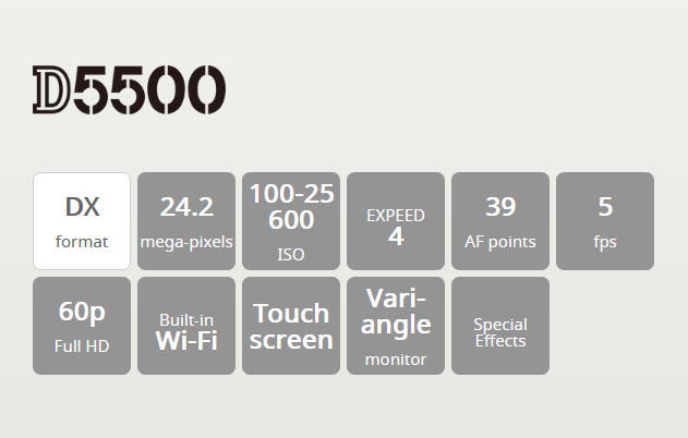 NIKON D5500 DSLR CAMERA BODY plus Nikon AF-P Zoom Nikkor 18-55mm DX Lens Kit