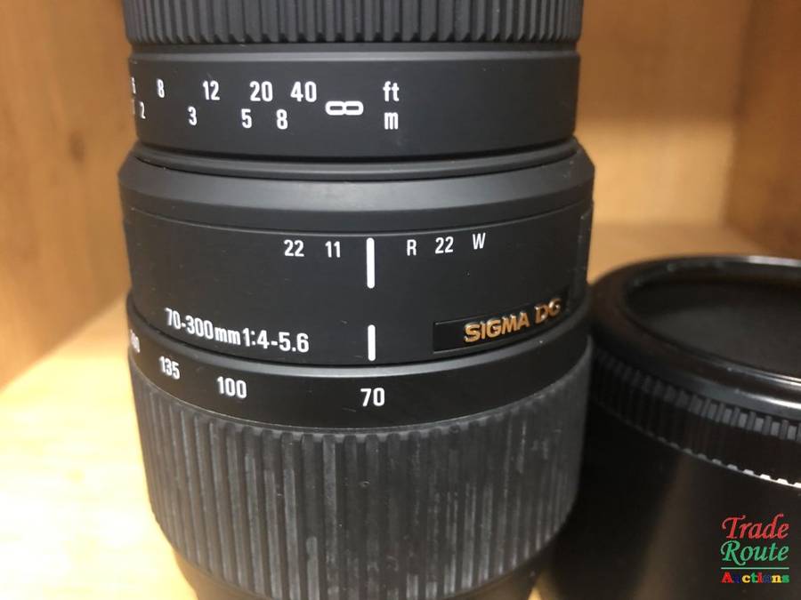 SIGMA DG 70-300mm Telephoto Zoom Lens for SONY DSLR Cameras