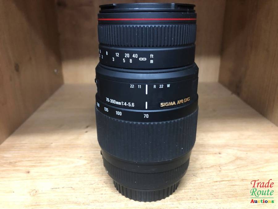 Sigma APO DG 70-300mm Lens for Canon Cameras