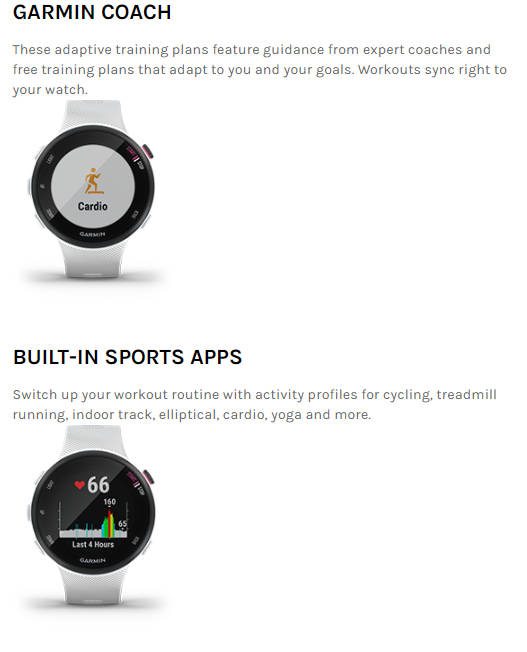 Garmin Forerunner 45S Watch