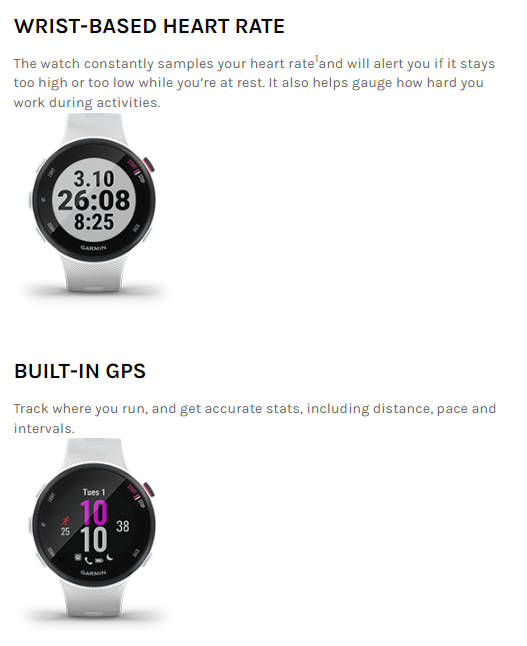 Garmin Forerunner 45S Watch