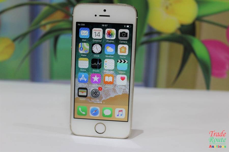 Apple Iphone 5S 64GB SmartPhone
