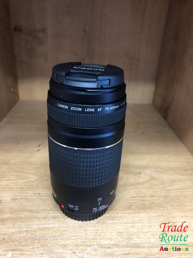 Canon EF 75-300mm 4-5.6 Mark iii Telephoto Zoom Lens for 600D, 650D, 700D, 750D 1200D 1300D Etc
