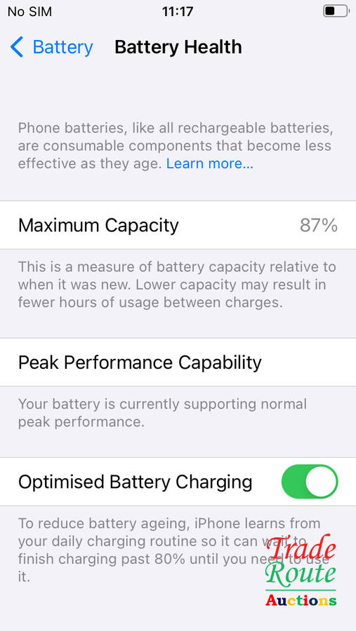 APPLE IPHONE SE | FLLN2SO/A | A1723 | FINGERPRINT ID | SMART PHONE