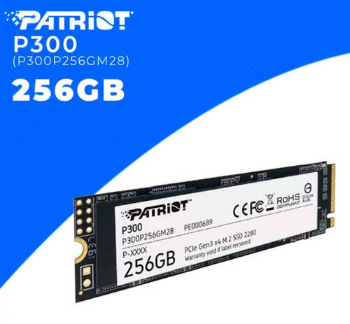256GB SSD Solid State Drive - Patriot P300 256GB M.2 PCIe NVMe SSD
