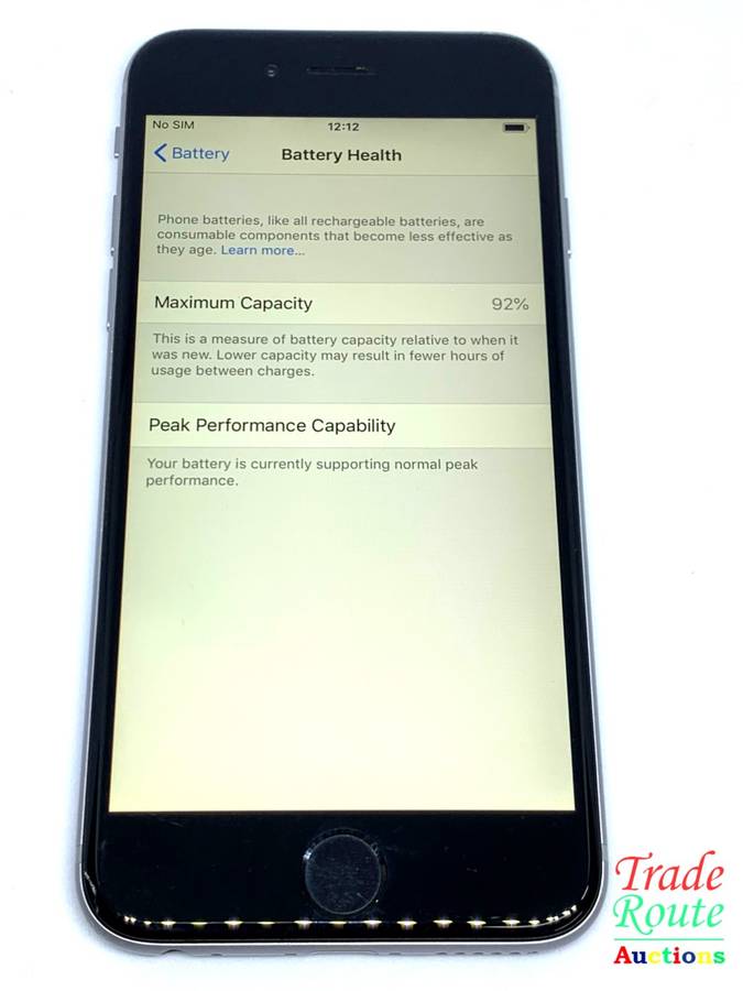 APPLE IPHONE 6  SmartPhone - 92% Battery Health