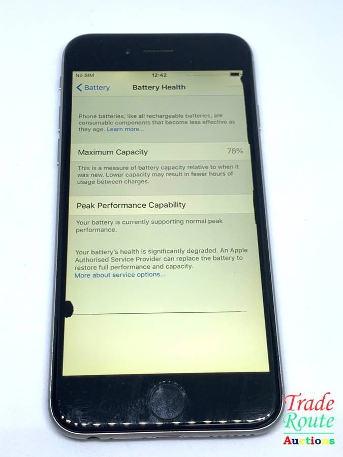 Apple iPhone 6 Space Grey (Pre Owned) SmartPhone (Marks & Lines on Screen)