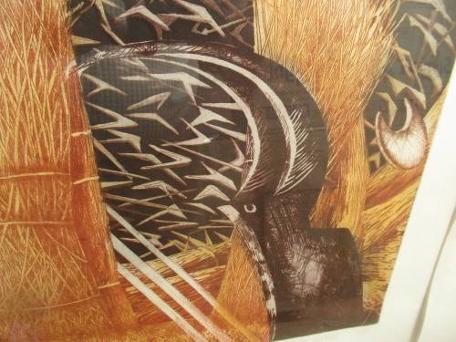 SOUTH AFRICAN SIGNED PRINT  VERONA HIGGS 1990 COSMIC ORDER