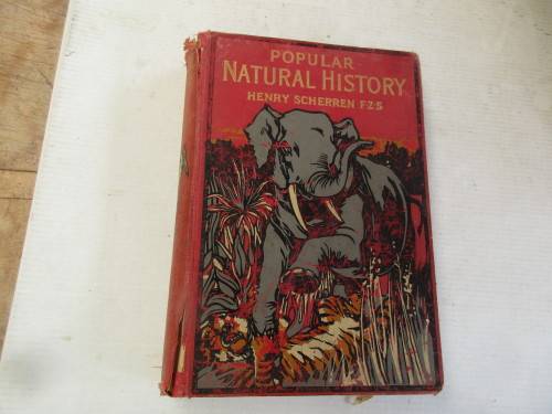 POPULAR NATURAL HISTORY 1913