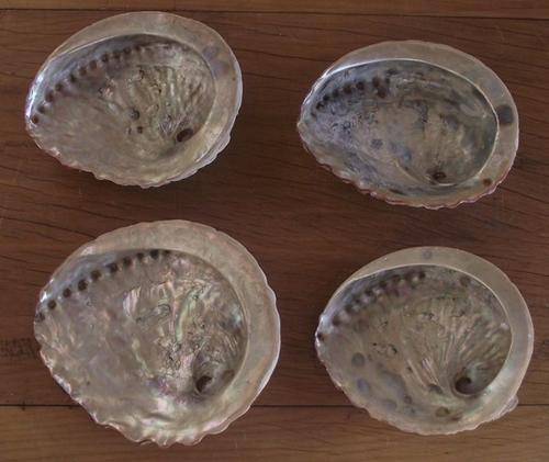 FOUR SHELLS