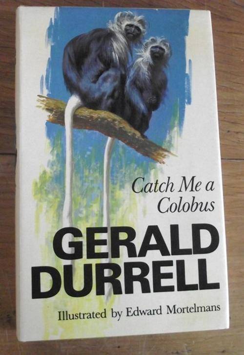 CATCH ME A COLOBUS