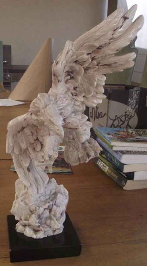 EAGLE ABOUT TO STRIKE