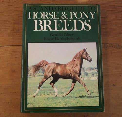 HORSE AND PONY BREEDS