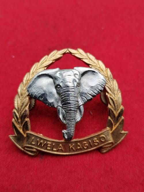 M11 BAPUTATSWANA 2 INFANTRY BATTALION BI METAL CAP BADGE