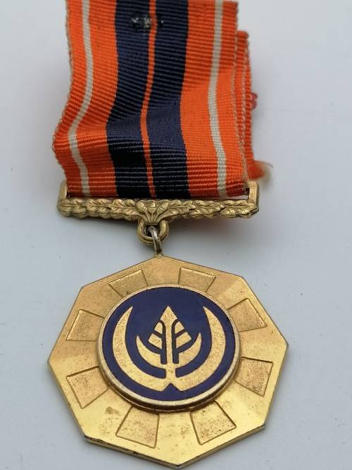 PRO PATRIA MEDAL