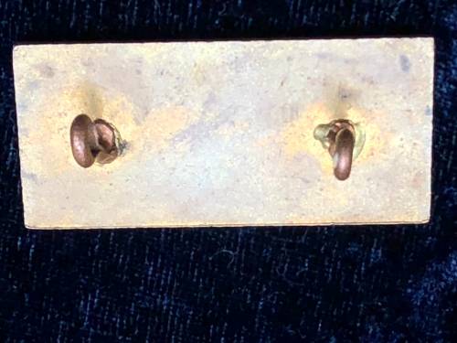 SOUTH AFRICAN RAILWAYS MESSENGER/BODE BADGE