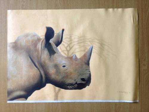 Rhinoceros by Matthew Gerard Alexander (2007)