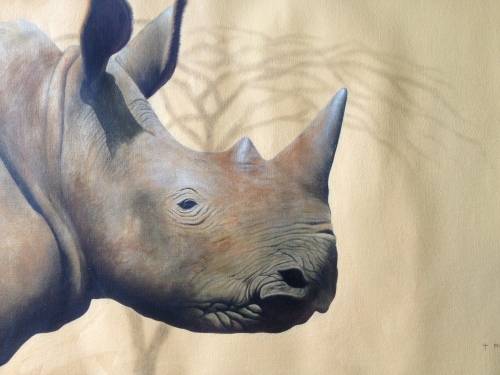 Rhinoceros by Matthew Gerard Alexander (2007)
