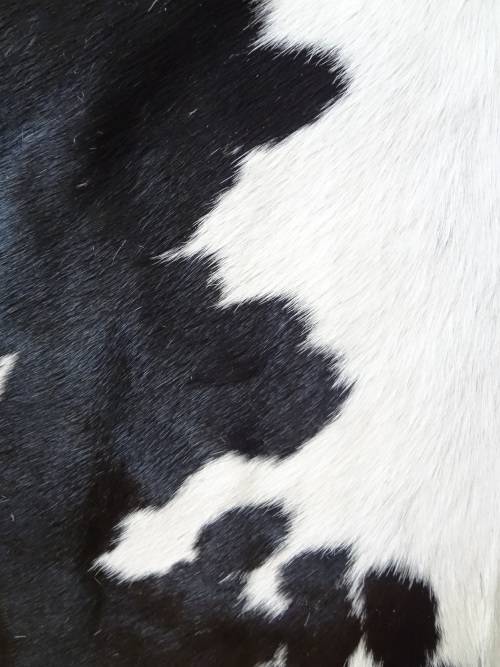 NGUNI COW HIDE - RETAIL R6 500