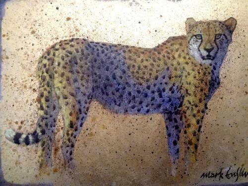 MARK ENSLIN  -  GALLERY RETAIL R3 950 - CHEETAH