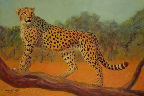 mark enslin oil painting - cheetah