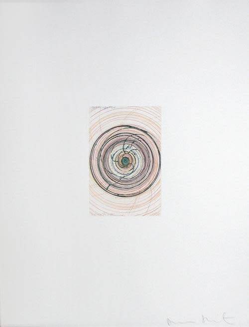 damien hirst - spin me right round