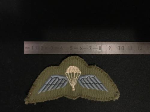 Rhodesian Army paratrooper wings, camo dress