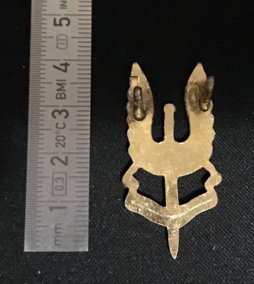 Rhodesian SAS `C` Squadron Beret Badge