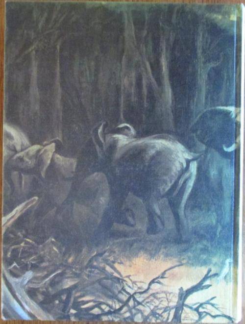 Valley of the Ironwoods: Alan Wright