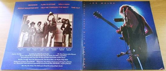 JOE WALSH Recorded Live You Can`t Argue with a Sick Mind VINYL RECORD