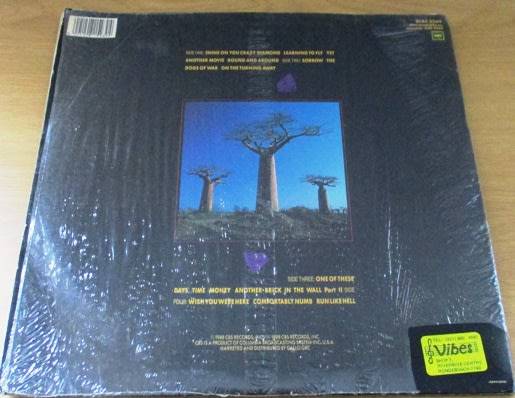 PINK FLOYD Delicate Sound of Thunder South African Pressing 2xLP VINYL RECORD