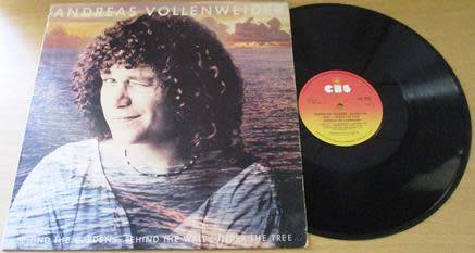 ANDREAS VOLLENWEIDER  Behind the Gardens - Behind the wall - Under the Tree LP VINYL RECORD