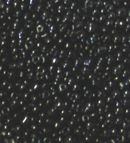 Black Opaque Seed beads 8/0 (20g)