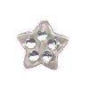 Clear Acrylic Sparkle Star beads (10pcs)